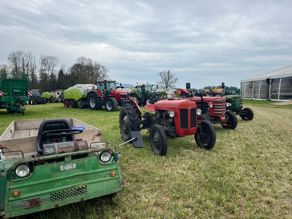 Les tracteurs anciens étaient alignés - un point fort pour les amateurs. Image : kim