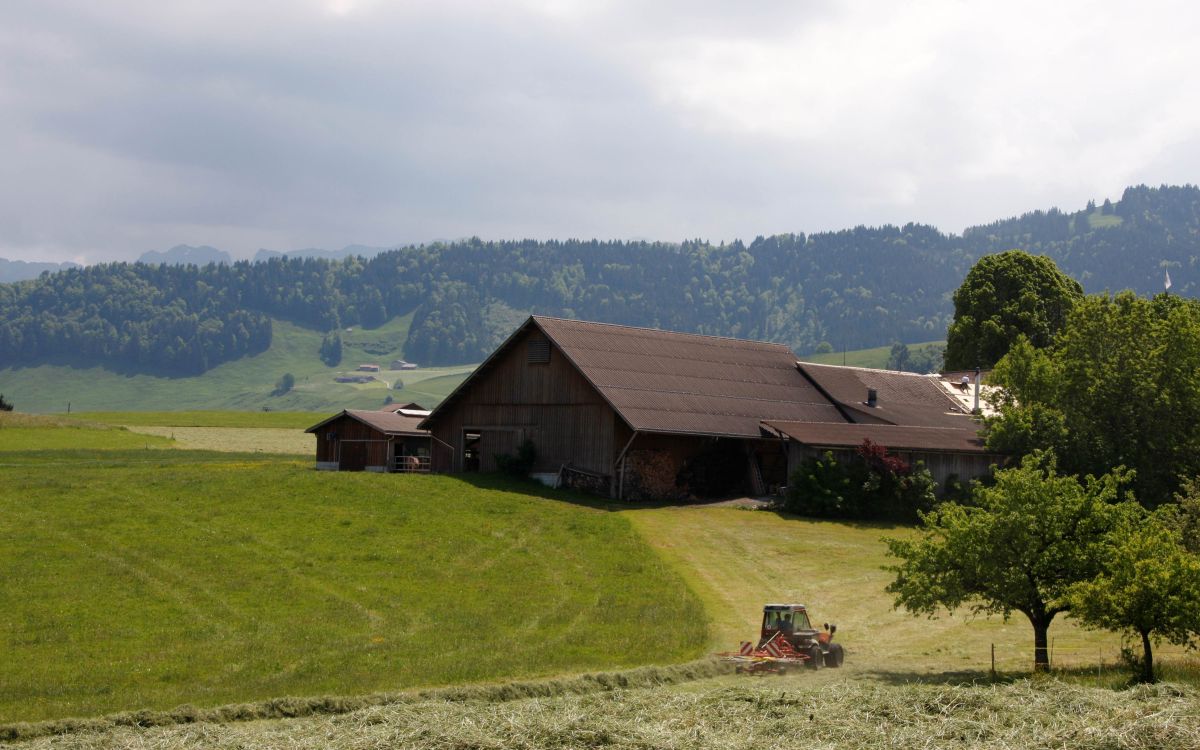 Bauernhof in Stein AI, im Vordergrund wird gemäht