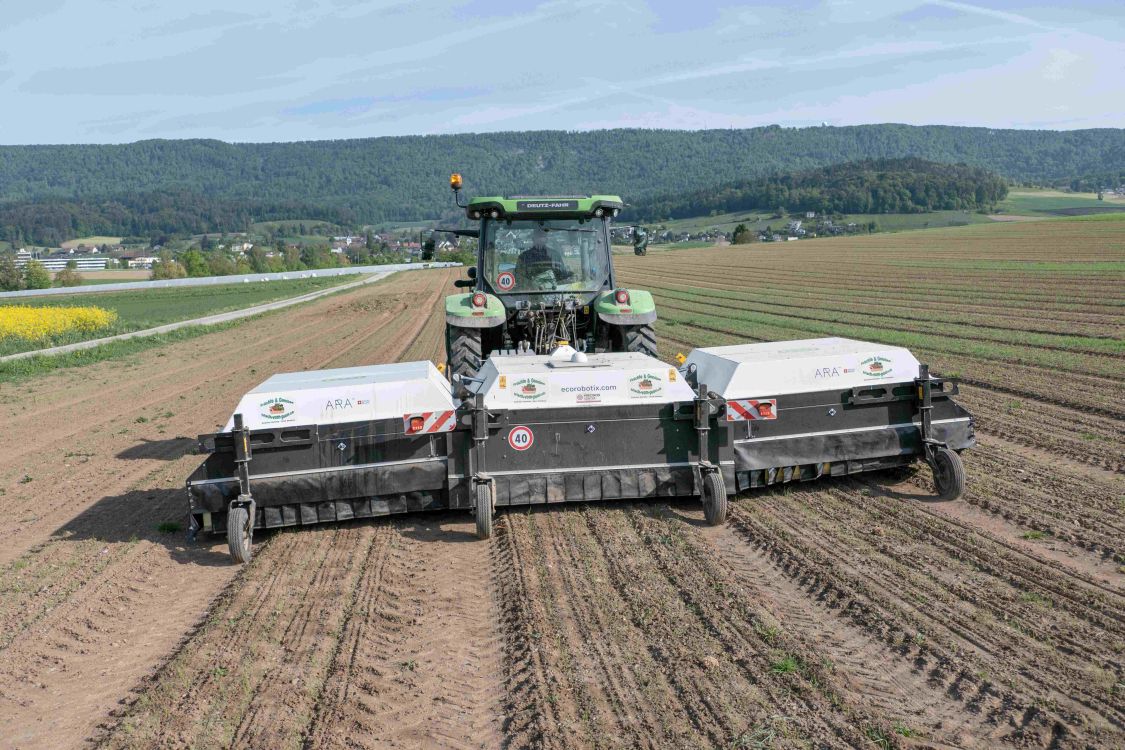 Le pulvérisateur de précision ARA d'Ecorobotix cible de manière précise les mauvaises herbes dans les oignons. (Photo : David Eppenberger, lid)