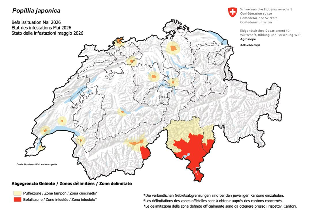 État de l'infestation en mai 2026. Dans ces régions, le scarabée japonais est établi et sa propagation est freinée. (Photo : blw.admin)