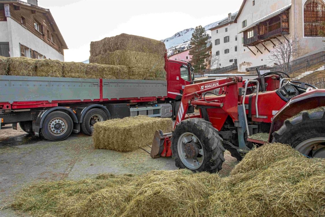 Bei diesem Unfall in S-chanf (GR) starb der Frontladerfahrer. Ein Tod, der mit einem Schutzaufbau hätte verhindert werden können. (Quelle: Polizei Graubünden)