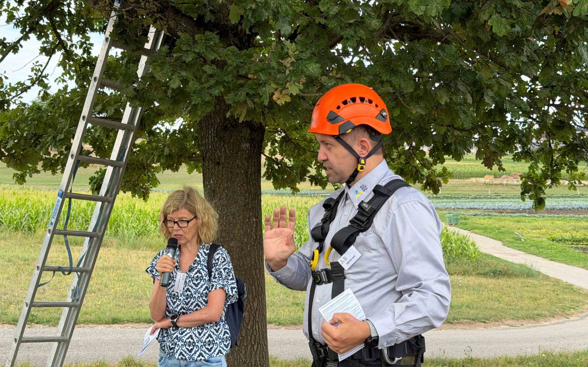Patrick Jost erklärt Arbeitssicherheit am Baum