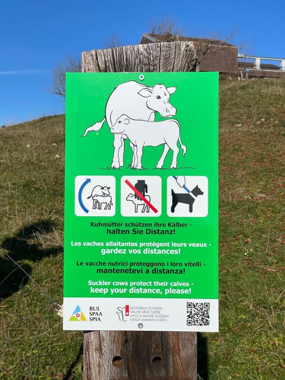 Die grüne Warntafel weist Gäste auf das Vorhandensein einer Mutterkuhherde hin. Bei bestehenden Warntafeln können die Piktogramme mittels Kleber nachgerüstet werden. (Bild: BUL)