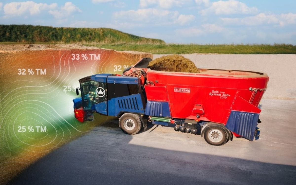 SILOKING DryScan