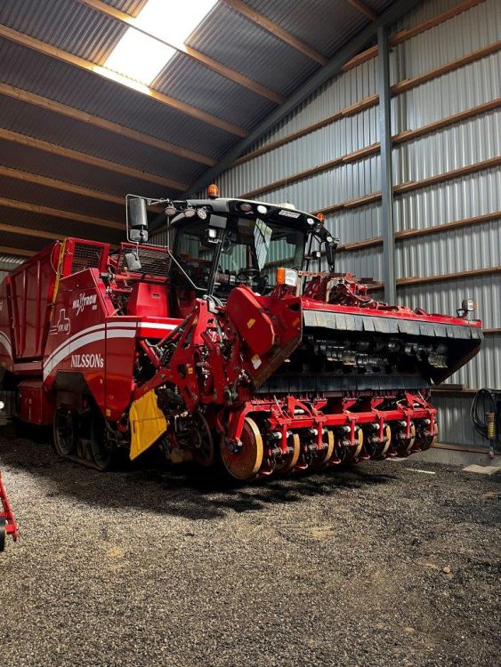 Mit dem Maxtron 620 von Grimme erntet Thomas Nilsson die Zuckerrüben. Foto: kim
