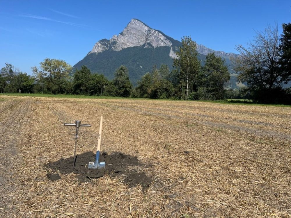 Die Spatenprobe ist eine bewährte Methode, um die Bodenstruktur im Feld zu beurteilen. Bildquelle: kim